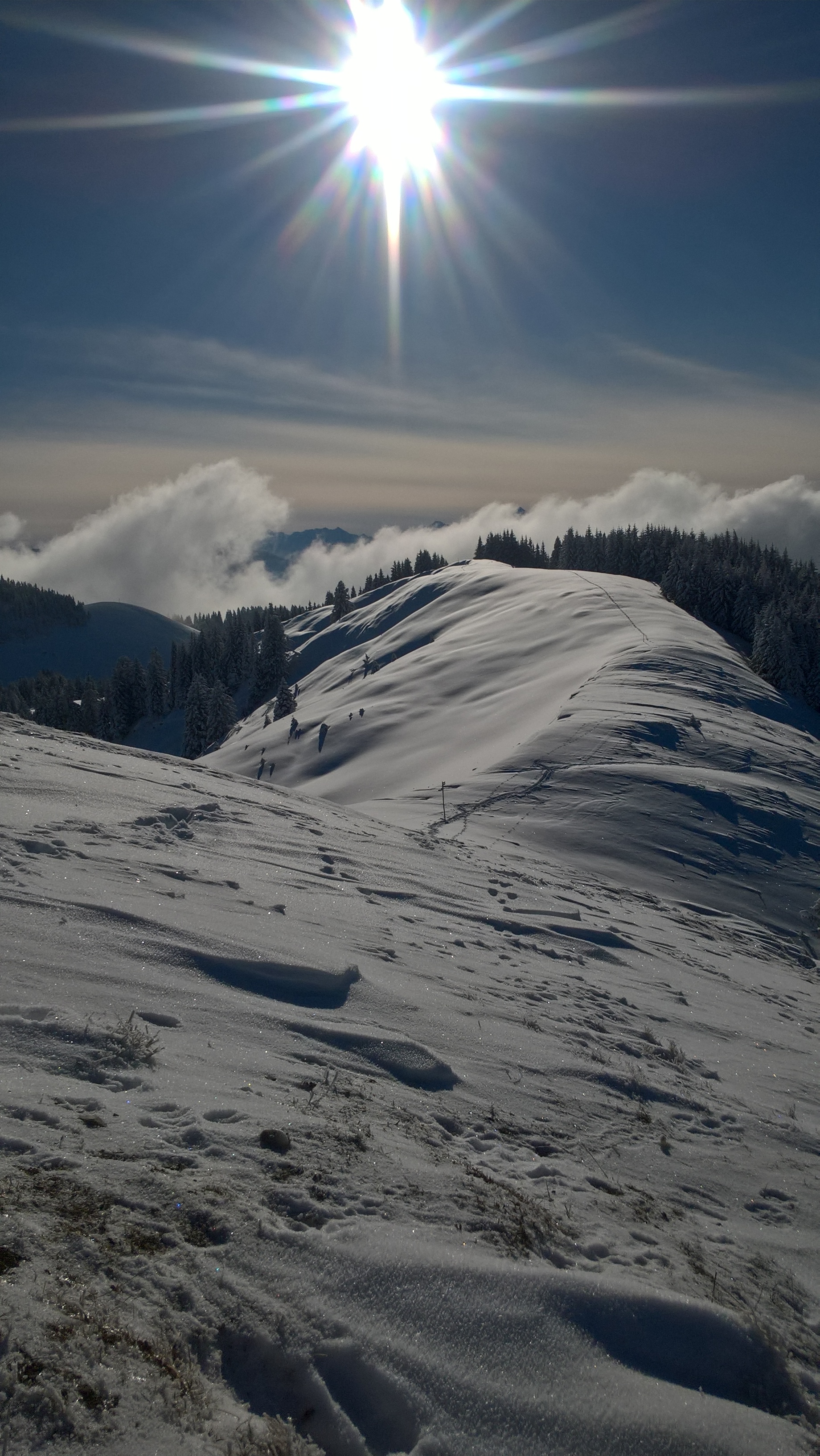 WP_20171202_11_54_39_Pro